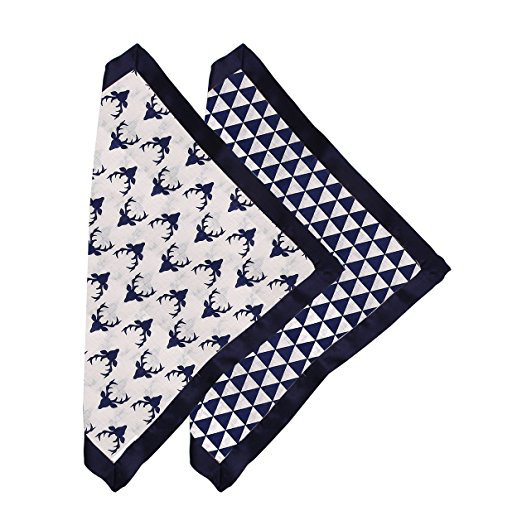 Harriet Bee Manolis Buck Triangles Muslin 2 Piece Security Blanket Set